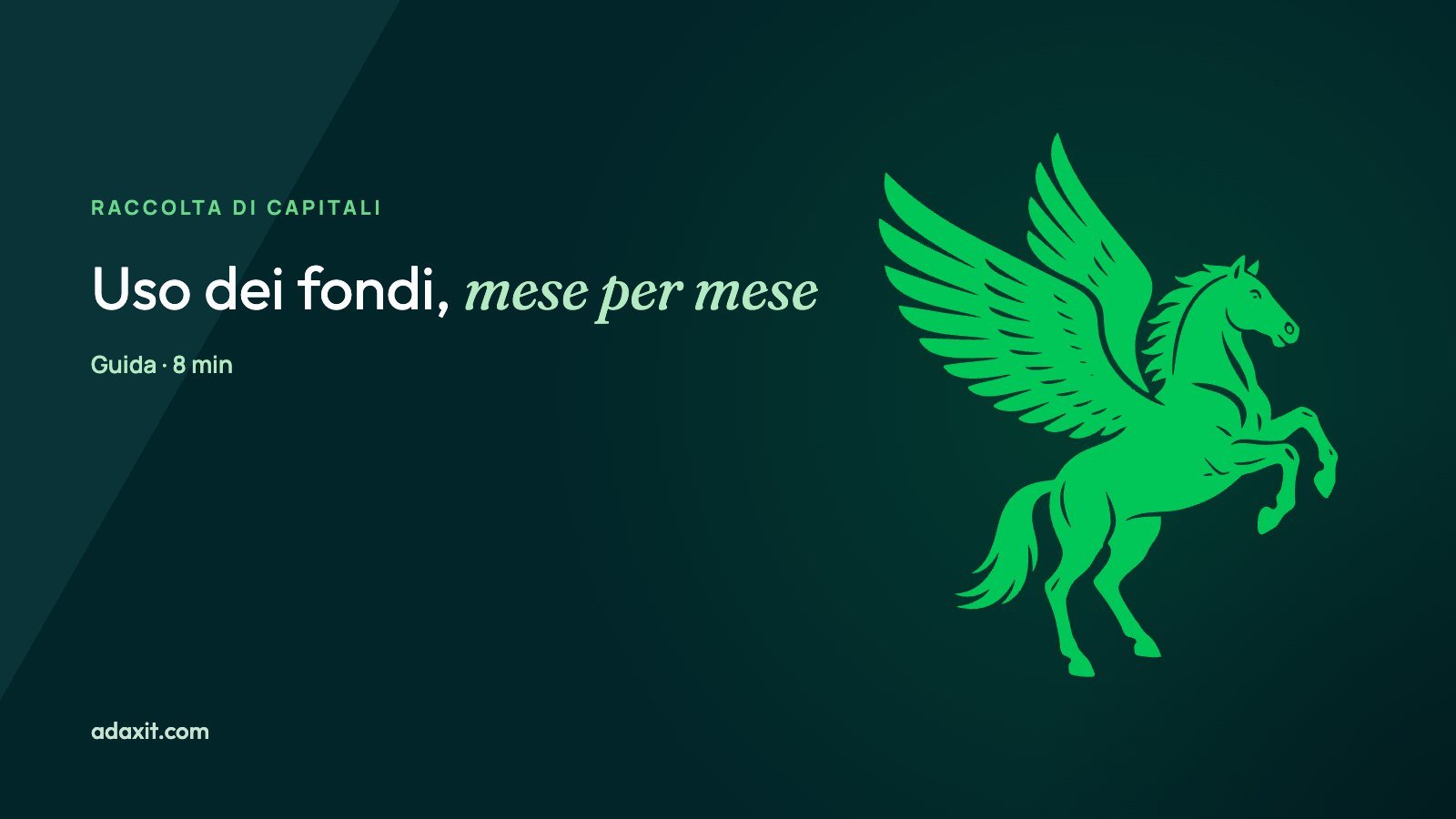 Uso dei fondi: come mostrare agli investitori dove vanno i soldi
